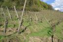 dsc05708.jpg