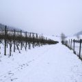 Noch ein langer Weg bis ans Ende.