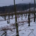 dsc09169.jpg