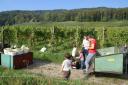 Die ganze Familie Hilft mit.