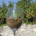 FridayWineNight_Ein_Glas_voll_Leben.jpg