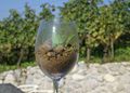 FridayWineNight_Ein_Glas_voll_Leben_thumb.jpg