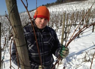 Der Winzer hat den kältesten Job