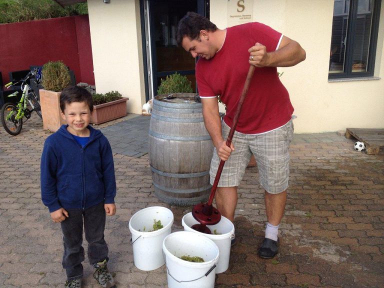 Weinjahr 2012 – Wilde Hefen einfangen