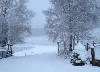 Der Schnee hat uns fest im grif