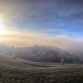 Reben Schneiden im Winter