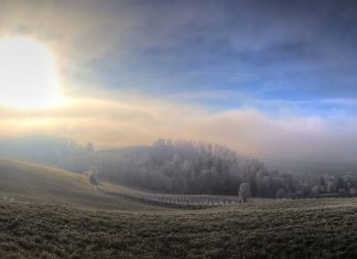 Wundebare Morgenstimmung beim Reben schneiden