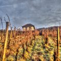 Rebhaus im Rebberg