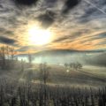Sonnenaufgang auf dem Weingut Schwarz