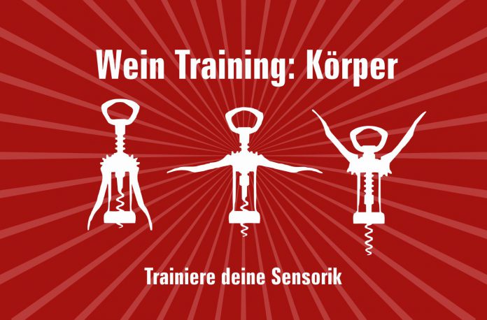 Wein Sensorik Körper