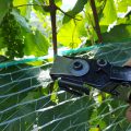 Vogelnetze Straffen und Klammern
