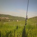 Foto20160428_095343_3061