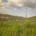 Foto20160428_105625_1546