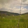 Foto20160428_130130_0985