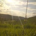 Foto20160428_181428_1747