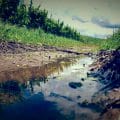 regen_im_rebberg