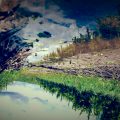 regen_im_rebberg