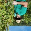 herbst2016a
