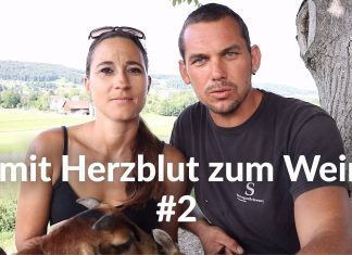 mit Herzblut zum Wein Vlog #2 | Frostschäden