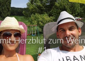 mit Herzblut zum Wein Vlog #1 | Laubschneiden