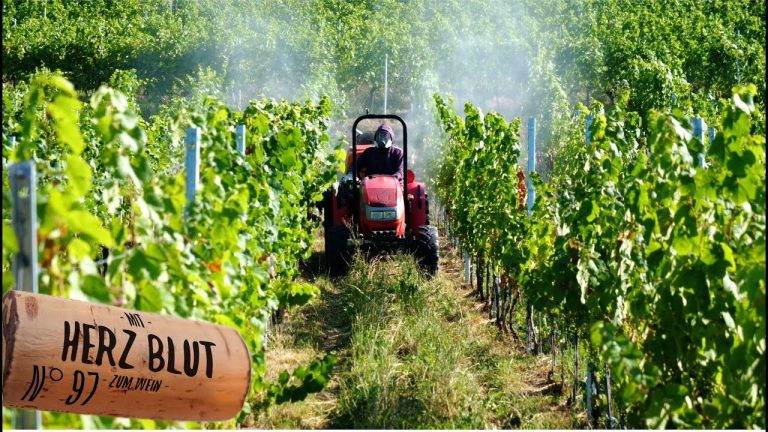 Ja, wir spritzen, Unser Pflanzenschutz im Rebberg