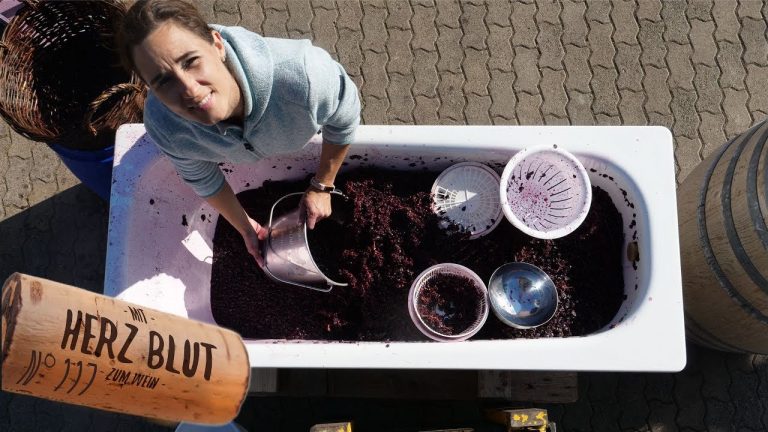 Jetzt wird gepresst | Badewanne Wein N°3