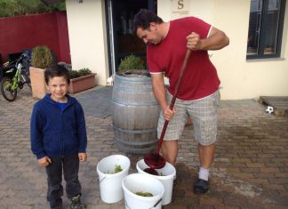Weinjahr 2012 – Wilde Hefen einfangen