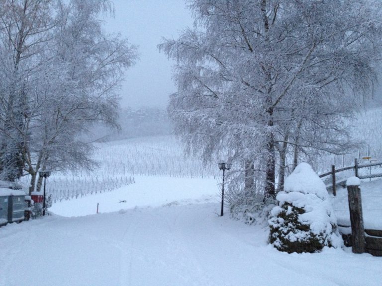 Der Schnee hat uns fest im grif
