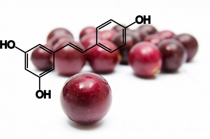 Resveratrol