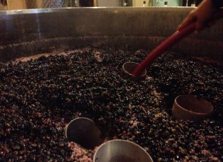 Den Wein Bluten lassen Die Saignee ist der Saftabzug beim Wein. Der Rotwein wird Intensiver.