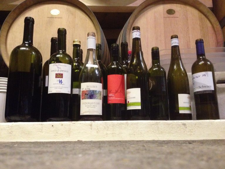 Jungwinzer Degustation