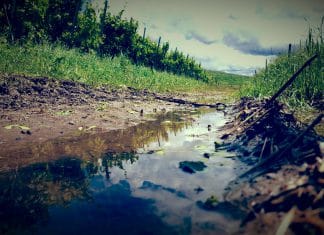 Das problem mit dem vielen Regen