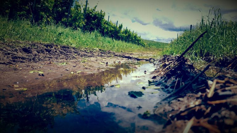Das problem mit dem vielen Regen