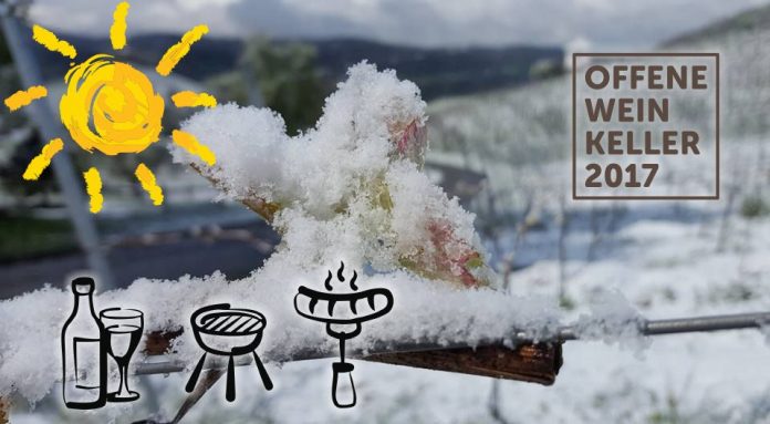 offene_weinkeller_schnee