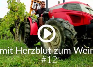 Herbsttage und vom Rebstock bis in den Keller