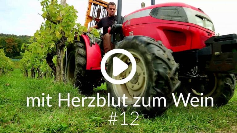 Herbsttage und vom Rebstock bis in den Keller