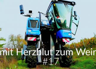 mit Herzblut zum Wein Vlog #17 | Testlauf mit dem Traubenvollernter