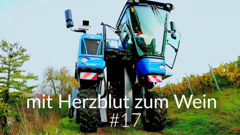 mit Herzblut zum Wein Vlog #17 | Testlauf mit dem Traubenvollernter