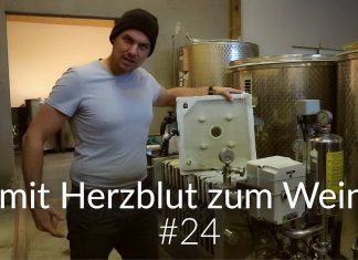 Der grosse Weinkeller Rundgang
