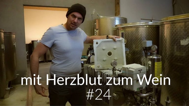 Der grosse Weinkeller Rundgang
