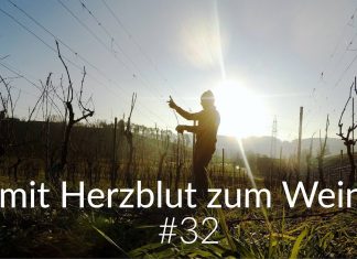 Reben schneiden N°1 | Weinwichteln