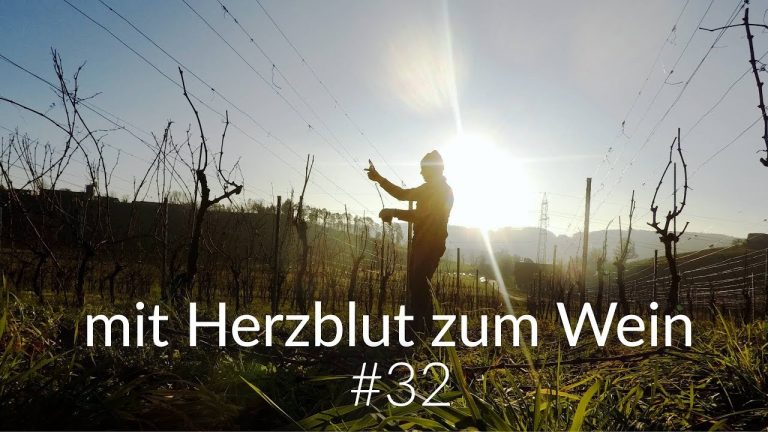 Reben schneiden N°1 | Weinwichteln