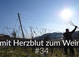 Reben schneiden N°2
