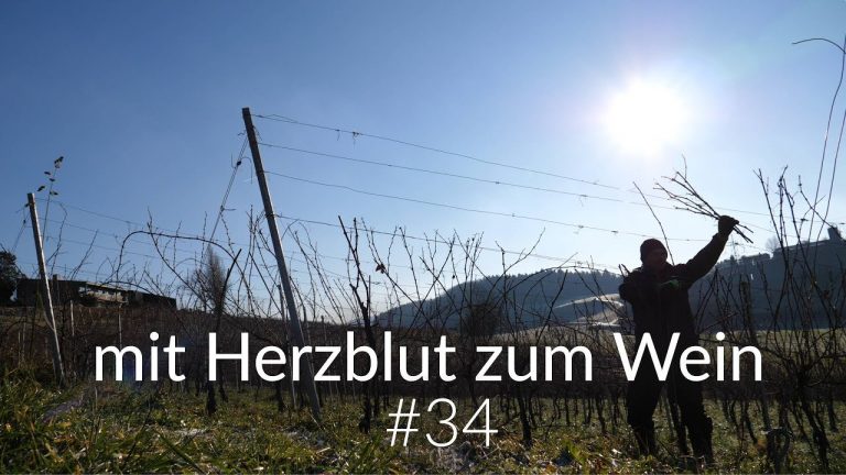 Reben schneiden N°2