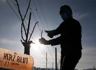 Die Entscheidung gegen Frost