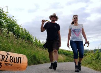 Laubarbeiten, mehr Hand als Maschine