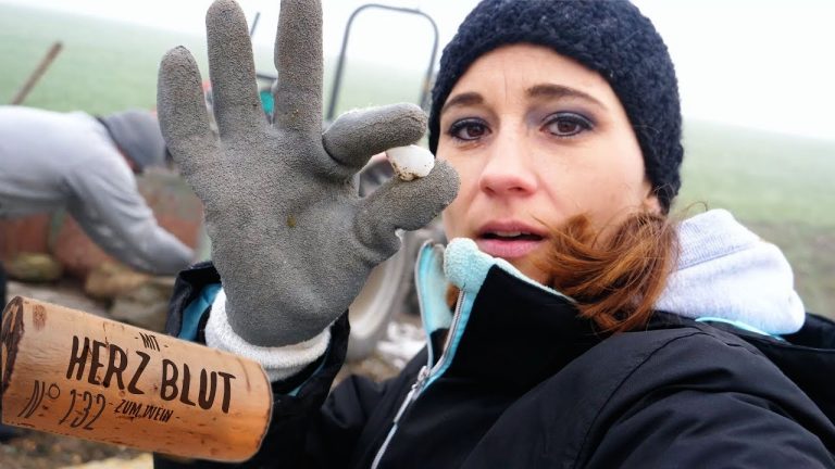 Heute versuchen wir einmal was neues. Schreibt in die Kommentare wie Ihr es findet. Andi möchte mal was neues probieren. Prisca findet es wackelt ein bisschen zu fest.