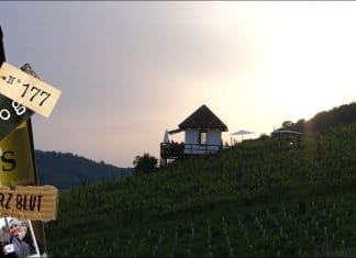 Weinbar mitten im Rebberg