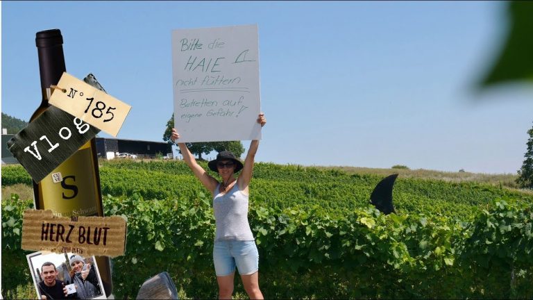 Bitte die HAIE nicht füttern!!! und Schaumwein machen