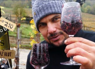 Je dunkler um so besser | So wird Rotwein gemacht #2